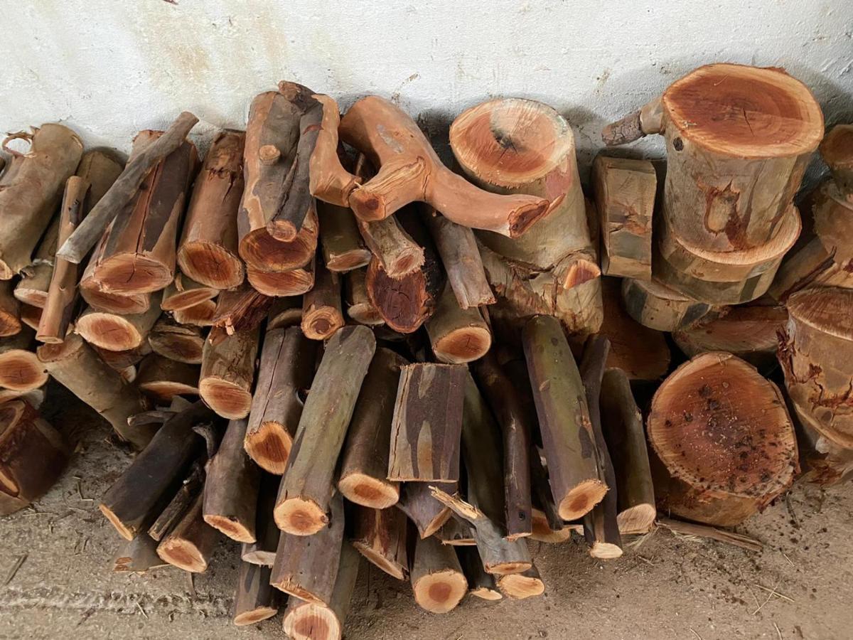Cuartos Y Desayunos Hacienda Los Olivos アロラ エクステリア 写真