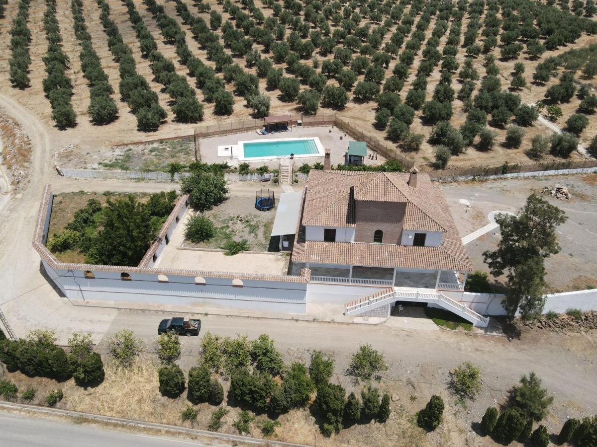 Cuartos Y Desayunos Hacienda Los Olivos アロラ エクステリア 写真